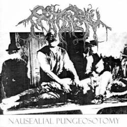 Patisserie : Nausealial Pungeosotomy Patisserie : Nausealial Pungeosotomy